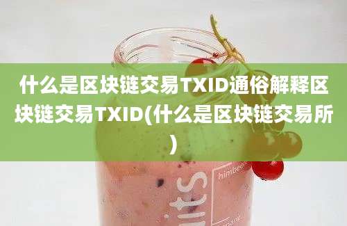 什么是区块链交易TXID通俗解释区块链交易TXID(什么是区块链交易所)