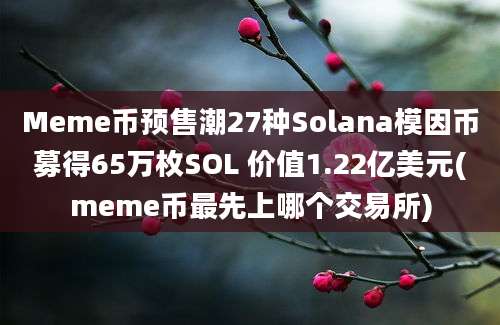 Meme币预售潮27种Solana模因币募得65万枚SOL 价值1.22亿美元(meme币最先上哪个交易所)