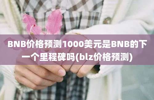 BNB价格预测1000美元是BNB的下一个里程碑吗(blz价格预测)