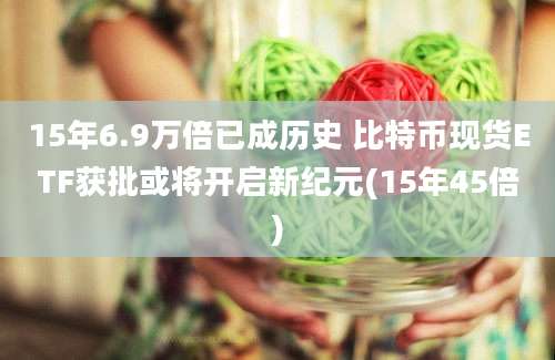 15年6.9万倍已成历史 比特币现货ETF获批或将开启新纪元(15年45倍)