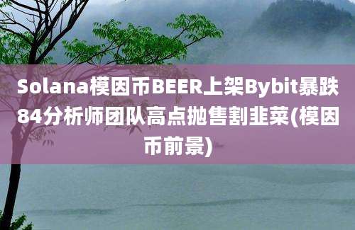 Solana模因币BEER上架Bybit暴跌84分析师团队高点抛售割韭菜(模因币前景)