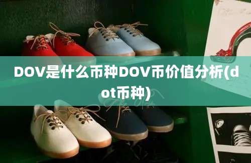 DOV是什么币种DOV币价值分析(dot币种)