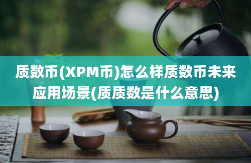 质数币(XPM币)怎么样质数币未来应用场景(质质数是什么意思)