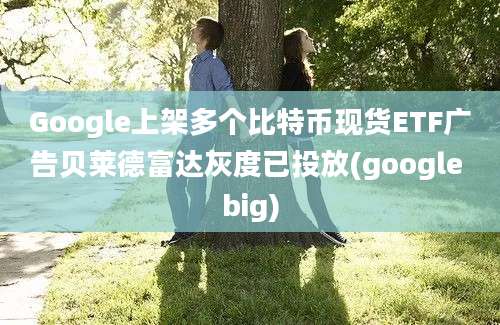 Google上架多个比特币现货ETF广告贝莱德富达灰度已投放(google big)