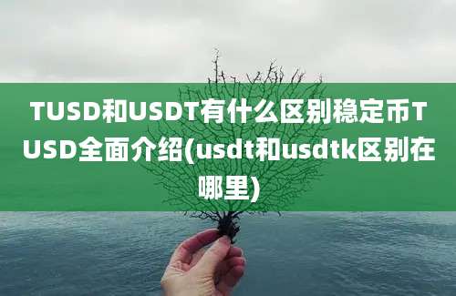 TUSD和USDT有什么区别稳定币TUSD全面介绍(usdt和usdtk区别在哪里)