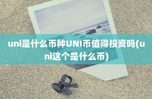 uni是什么币种UNI币值得投资吗(uni这个是什么币)