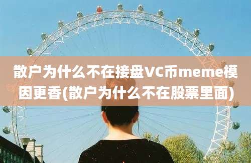 散户为什么不在接盘VC币meme模因更香(散户为什么不在股票里面)