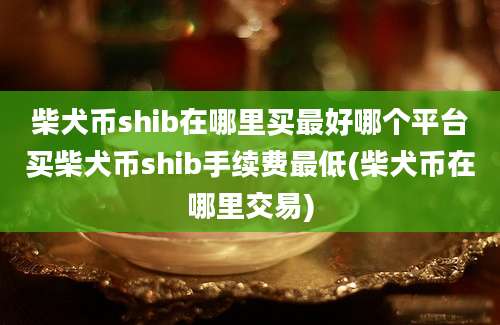 柴犬币shib在哪里买最好哪个平台买柴犬币shib手续费最低(柴犬币在哪里交易)