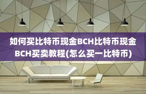 如何买比特币现金BCH比特币现金BCH买卖教程(怎么买一比特币)