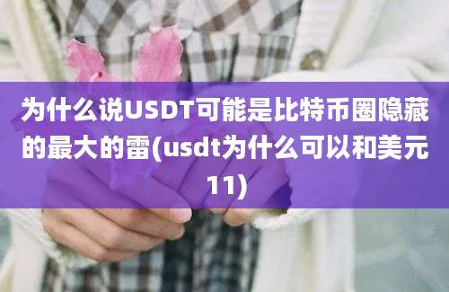 为什么说USDT可能是比特币圈隐藏的最大的雷(usdt为什么可以和美元11)