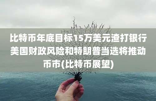 比特币年底目标15万美元渣打银行美国财政风险和特朗普当选将推动币市(比特币展望)