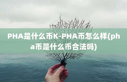 PHA是什么币K-PHA币怎么样(pha币是什么币合法吗)