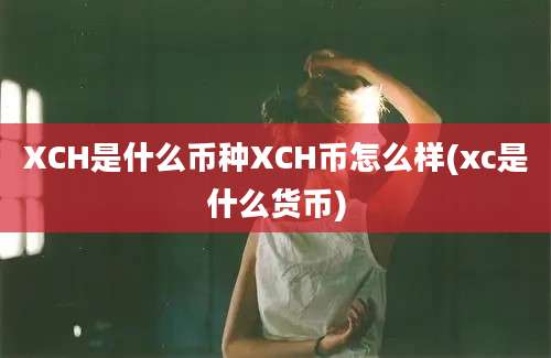 XCH是什么币种XCH币怎么样(xc是什么货币)