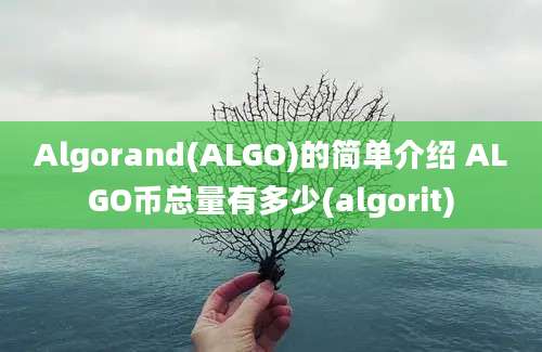 Algorand(ALGO)的简单介绍 ALGO币总量有多少(algorit)