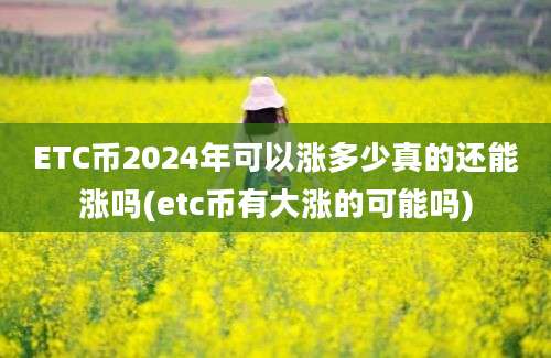 ETC币2024年可以涨多少真的还能涨吗(etc币有大涨的可能吗)