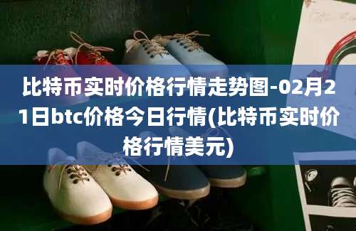 比特币实时价格行情走势图-02月21日btc价格今日行情(比特币实时价格行情美元)