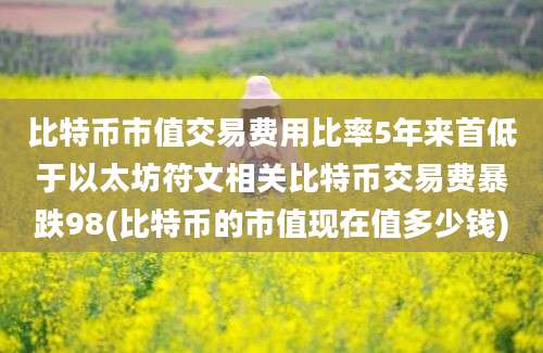 比特币市值交易费用比率5年来首低于以太坊符文相关比特币交易费暴跌98(比特币的市值现在值多少钱)