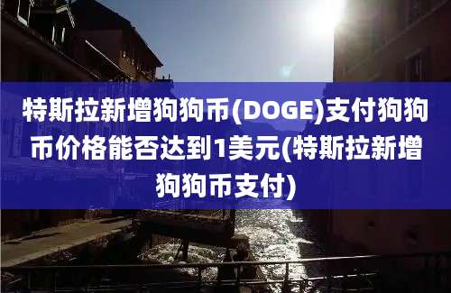 特斯拉新增狗狗币(DOGE)支付狗狗币价格能否达到1美元(特斯拉新增狗狗币支付)