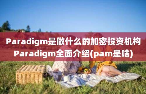 Paradigm是做什么的加密投资机构Paradigm全面介绍(pam是啥)