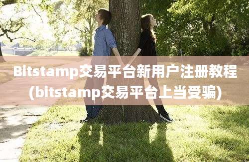 Bitstamp交易平台新用户注册教程(bitstamp交易平台上当受骗)