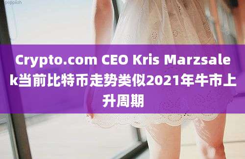 Crypto.com CEO Kris Marzsalek当前比特币走势类似2021年牛市上升周期