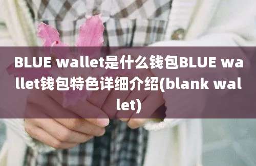 BLUE wallet是什么钱包BLUE wallet钱包特色详细介绍(blank wallet)