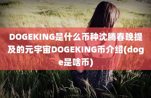 DOGEKING是什么币种沈腾春晚提及的元宇宙DOGEKING币介绍(doge是啥币)