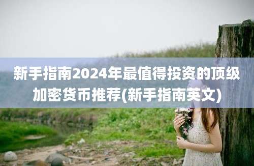 新手指南2024年最值得投资的顶级加密货币推荐(新手指南英文)