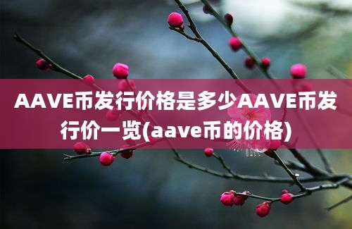 AAVE币发行价格是多少AAVE币发行价一览(aave币的价格)