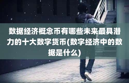 数据经济概念币有哪些未来最具潜力的十大数字货币(数字经济中的数据是什么)