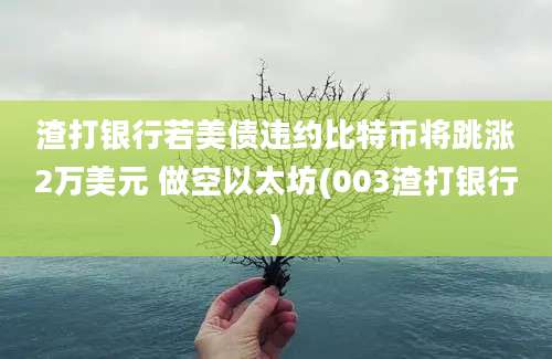 渣打银行若美债违约比特币将跳涨2万美元 做空以太坊(003渣打银行)