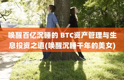 唤醒百亿沉睡的 BTC资产管理与生息投资之道(唤醒沉睡千年的美女)