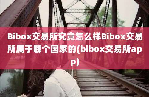 Bibox交易所究竟怎么样Bibox交易所属于哪个国家的(bibox交易所app)