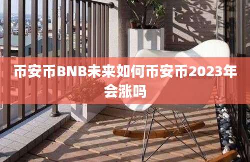 币安币BNB未来如何币安币2023年会涨吗