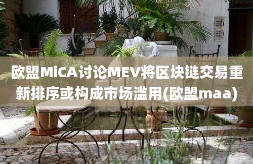 欧盟MiCA讨论MEV将区块链交易重新排序或构成市场滥用(欧盟maa)