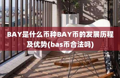 BAY是什么币种BAY币的发展历程及优势(bas币合法吗)