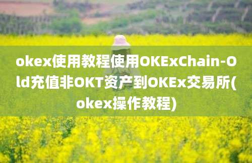 okex使用教程使用OKExChain-Old充值非OKT资产到OKEx交易所(okex操作教程)