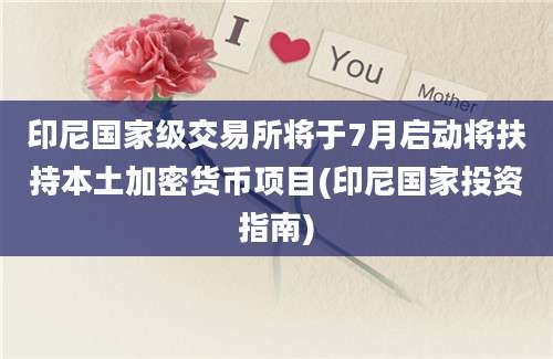 印尼国家级交易所将于7月启动将扶持本土加密货币项目(印尼国家投资指南)