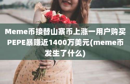 Meme币接替山寨币上涨一用户购买PEPE暴赚近1400万美元(meme币发生了什么)