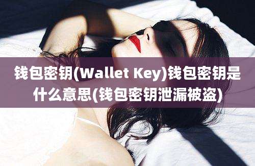 钱包密钥(Wallet Key)钱包密钥是什么意思(钱包密钥泄漏被盗)