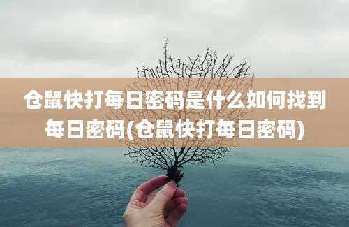 仓鼠快打每日密码是什么如何找到每日密码(仓鼠快打每日密码)