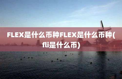 FLEX是什么币种FLEX是什么币种(fli是什么币)