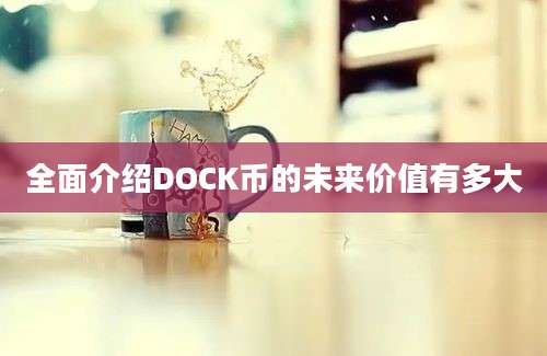 全面介绍DOCK币的未来价值有多大