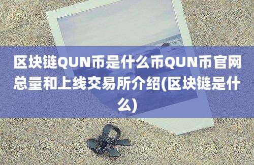 区块链QUN币是什么币QUN币官网总量和上线交易所介绍(区块链是什么)