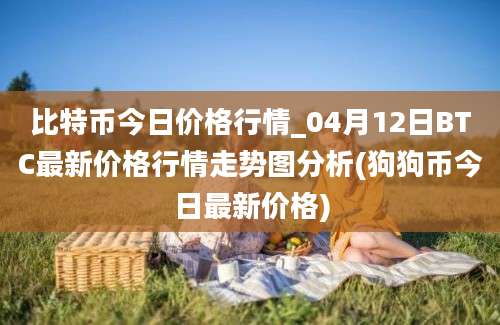 比特币今日价格行情_04月12日BTC最新价格行情走势图分析(狗狗币今日最新价格)