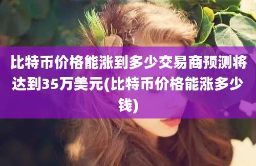 比特币价格能涨到多少交易商预测将达到35万美元(比特币价格能涨多少钱)