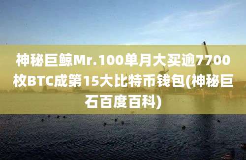 神秘巨鲸Mr.100单月大买逾7700枚BTC成第15大比特币钱包(神秘巨石百度百科)