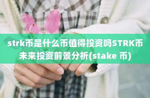 strk币是什么币值得投资吗STRK币未来投资前景分析(stake 币)