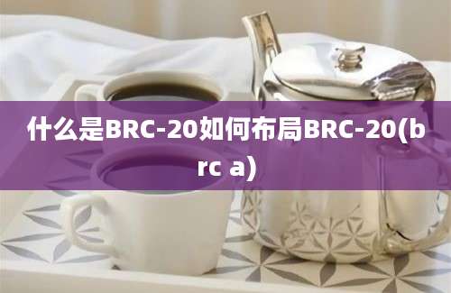 什么是BRC-20如何布局BRC-20(brc a)