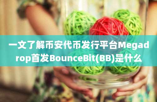 一文了解币安代币发行平台Megadrop首发BounceBit(BB)是什么